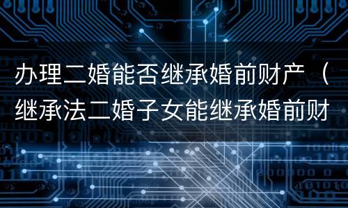 办理二婚能否继承婚前财产（继承法二婚子女能继承婚前财产吗）