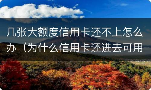 几张大额度信用卡还不上怎么办（为什么信用卡还进去可用额度少很多）
