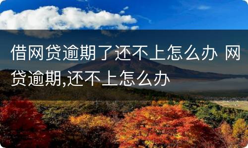 借网贷逾期了还不上怎么办 网贷逾期,还不上怎么办