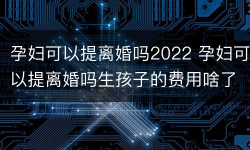 孕妇可以提离婚吗2022 孕妇可以提离婚吗生孩子的费用啥了谁出
