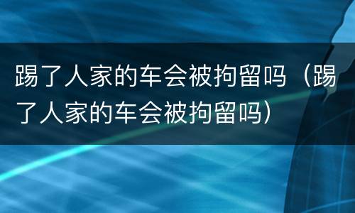 踢了人家的车会被拘留吗（踢了人家的车会被拘留吗）