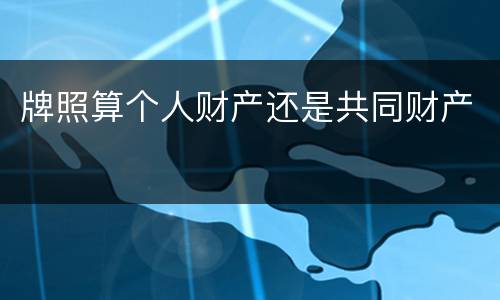 牌照算个人财产还是共同财产