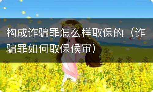 构成诈骗罪怎么样取保的（诈骗罪如何取保候审）