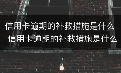 信用卡逾期的补救措施是什么 信用卡逾期的补救措施是什么意思