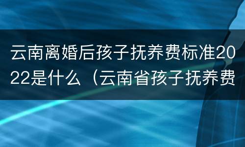 云南离婚后孩子抚养费标准2022是什么（云南省孩子抚养费标准）