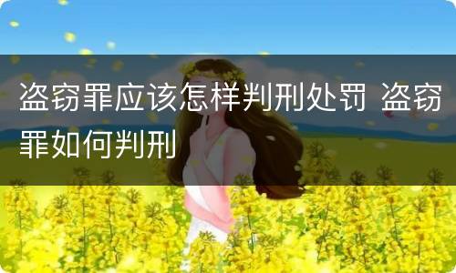 盗窃罪应该怎样判刑处罚 盗窃罪如何判刑