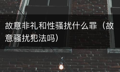 故意非礼和性骚扰什么罪（故意骚扰犯法吗）