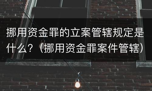 挪用资金罪的立案管辖规定是什么?（挪用资金罪案件管辖）