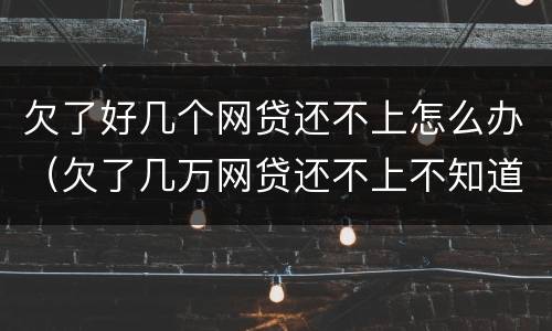 欠了好几个网贷还不上怎么办（欠了几万网贷还不上不知道怎么办）