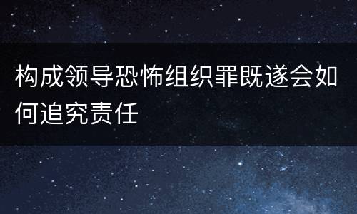 构成领导恐怖组织罪既遂会如何追究责任