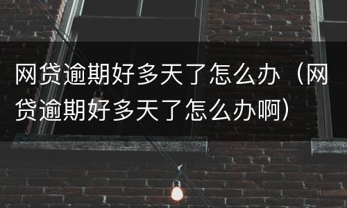 网贷逾期好多天了怎么办（网贷逾期好多天了怎么办啊）