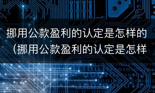 挪用公款盈利的认定是怎样的（挪用公款盈利的认定是怎样的呢）