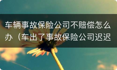 车辆事故保险公司不赔偿怎么办（车出了事故保险公司迟迟拖着不解决）