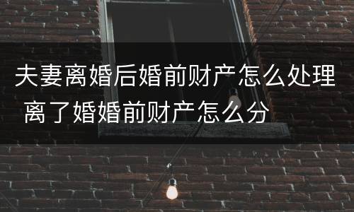 夫妻离婚后婚前财产怎么处理 离了婚婚前财产怎么分
