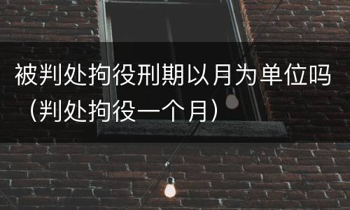 被判处拘役刑期以月为单位吗（判处拘役一个月）