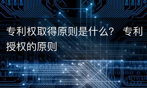 专利权取得原则是什么？ 专利授权的原则
