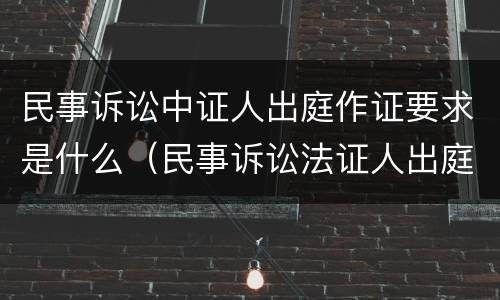 民事诉讼中证人出庭作证要求是什么（民事诉讼法证人出庭作证的规定和要求）