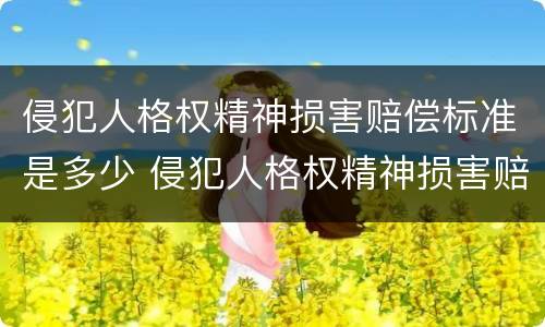侵犯人格权精神损害赔偿标准是多少 侵犯人格权精神损害赔偿标准是多少条