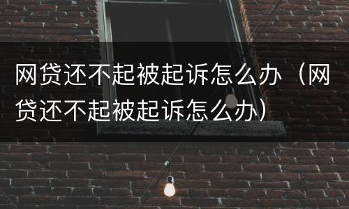 网贷还不起被起诉怎么办（网贷还不起被起诉怎么办）