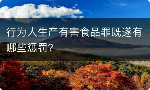 行为人生产有害食品罪既遂有哪些惩罚？