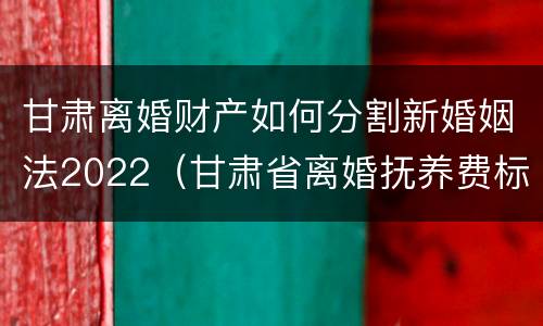 甘肃离婚财产如何分割新婚姻法2022（甘肃省离婚抚养费标准）