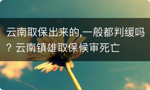 云南取保出来的,一般都判缓吗? 云南镇雄取保候审死亡