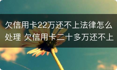 欠信用卡22万还不上法律怎么处理 欠信用卡二十多万还不上怎么办