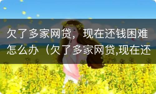 欠了多家网贷，现在还钱困难怎么办（欠了多家网贷,现在还钱困难怎么办呢）