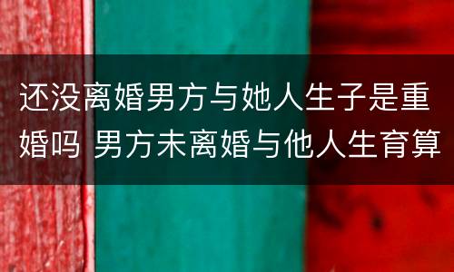 还没离婚男方与她人生子是重婚吗 男方未离婚与他人生育算是重婚吗
