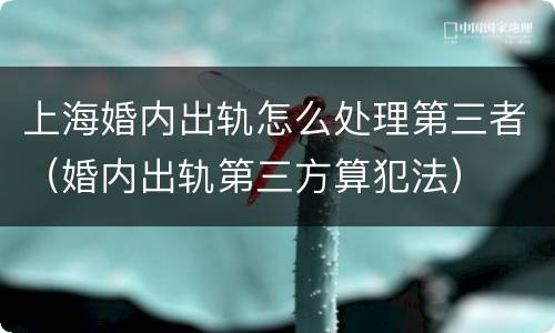 上海婚内出轨怎么处理第三者（婚内出轨第三方算犯法）