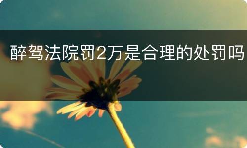 醉驾法院罚2万是合理的处罚吗