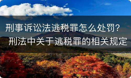 刑事诉讼法逃税罪怎么处罚？ 刑法中关于逃税罪的相关规定