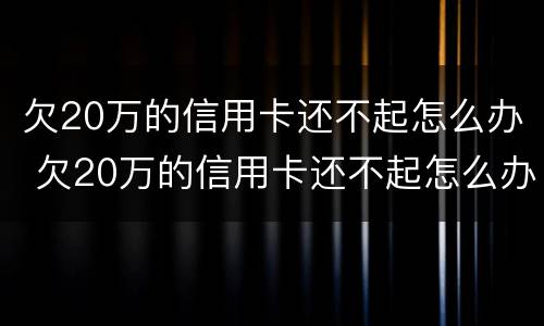 欠20万的信用卡还不起怎么办 欠20万的信用卡还不起怎么办呀