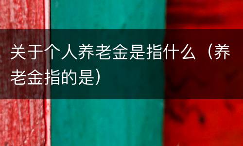关于个人养老金是指什么（养老金指的是）