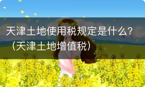 天津土地使用税规定是什么？（天津土地增值税）