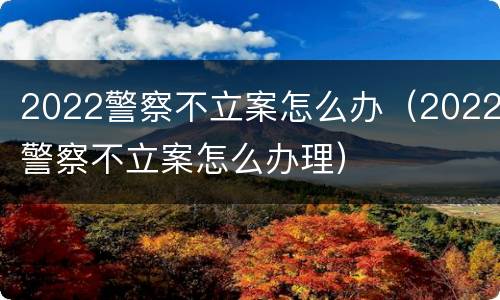 2022警察不立案怎么办（2022警察不立案怎么办理）
