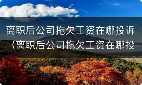 离职后公司拖欠工资在哪投诉（离职后公司拖欠工资在哪投诉最有效）