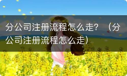 分公司注册流程怎么走？（分公司注册流程怎么走）
