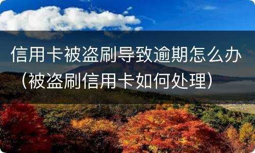 信用卡被盗刷导致逾期怎么办（被盗刷信用卡如何处理）