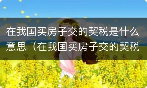 在我国买房子交的契税是什么意思（在我国买房子交的契税是什么意思呀）