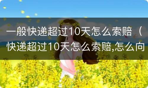 一般快递超过10天怎么索赔（快递超过10天怎么索赔,怎么向快递公司索赔）