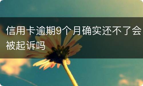 信用卡逾期9个月确实还不了会被起诉吗