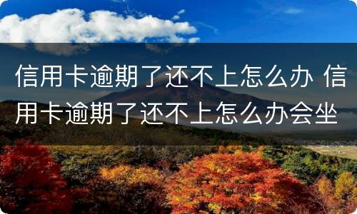 信用卡逾期了还不上怎么办 信用卡逾期了还不上怎么办会坐牢吗