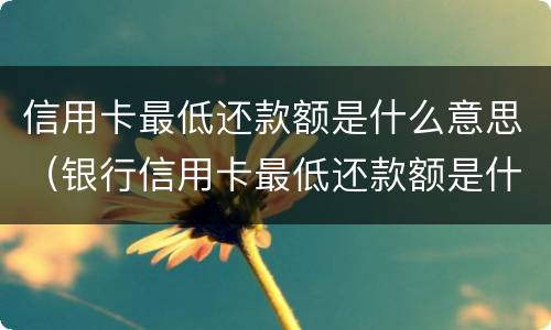 信用卡最低还款额是什么意思（银行信用卡最低还款额是什么意思）