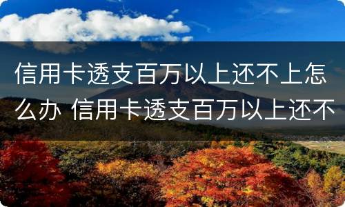 信用卡透支百万以上还不上怎么办 信用卡透支百万以上还不上怎么办呢