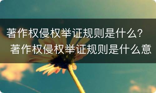 著作权侵权举证规则是什么？ 著作权侵权举证规则是什么意思