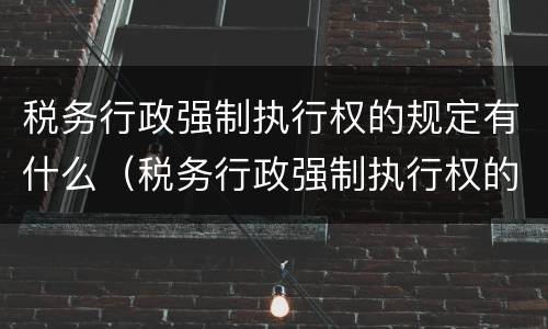 税务行政强制执行权的规定有什么（税务行政强制执行权的规定有什么性质）