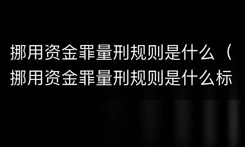 挪用资金罪量刑规则是什么（挪用资金罪量刑规则是什么标准）