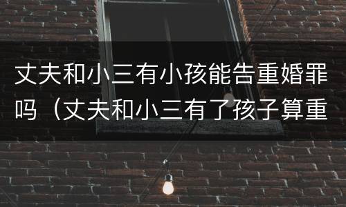 丈夫和小三有小孩能告重婚罪吗（丈夫和小三有了孩子算重婚罪吗）