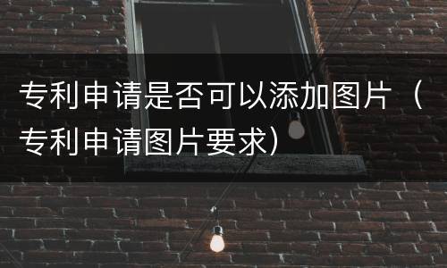 专利申请是否可以添加图片（专利申请图片要求）
